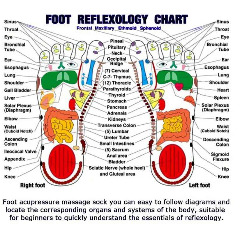 Foot Reflexology Socks with Massage Stick